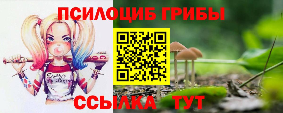 Псилоцибиновые грибы GOLDEN TEACHER Пенза